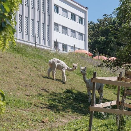 Le Domaine Hotel Fribourg Buitenkant foto