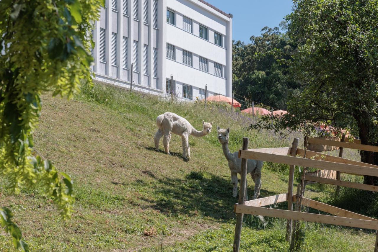 Le Domaine Hotel Fribourg Buitenkant foto